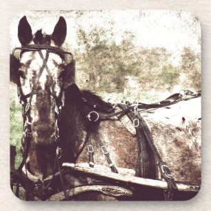 Dessous-de-verre Appaloosa Horse