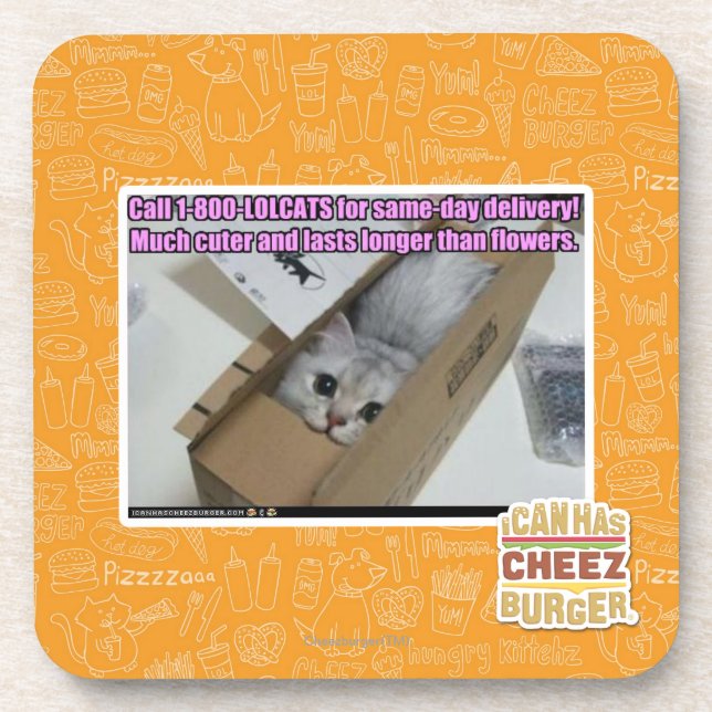 Dessous-de-verre Appel 1-800-LOLCATS (Devant)