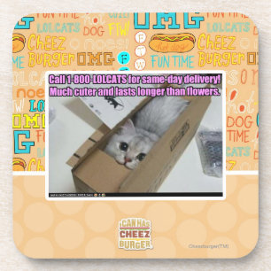 Dessous-de-verre Appel 1-800-LOLCATS