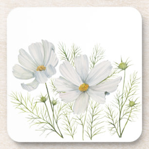 Dessous-de-verre Aquarelle Blanc Cosmos Fleurs Peinture Botanique