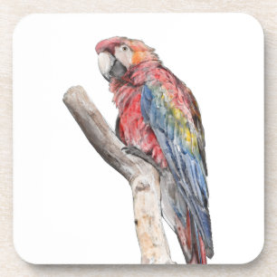 Dessous-de-verre Aquarelle colorée de perroquet macaw
