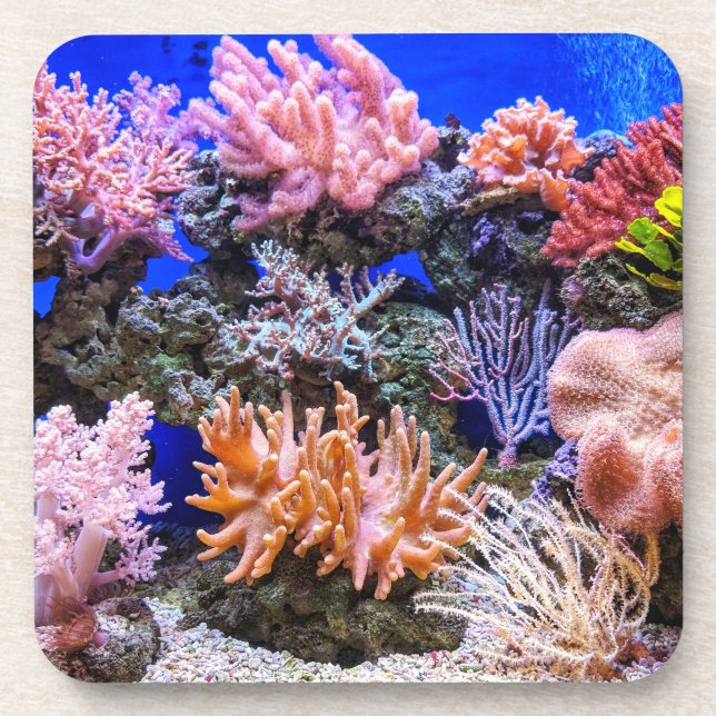 Dessous-de-verre Aquarium d'eau salée - Coral Reef (Devant)