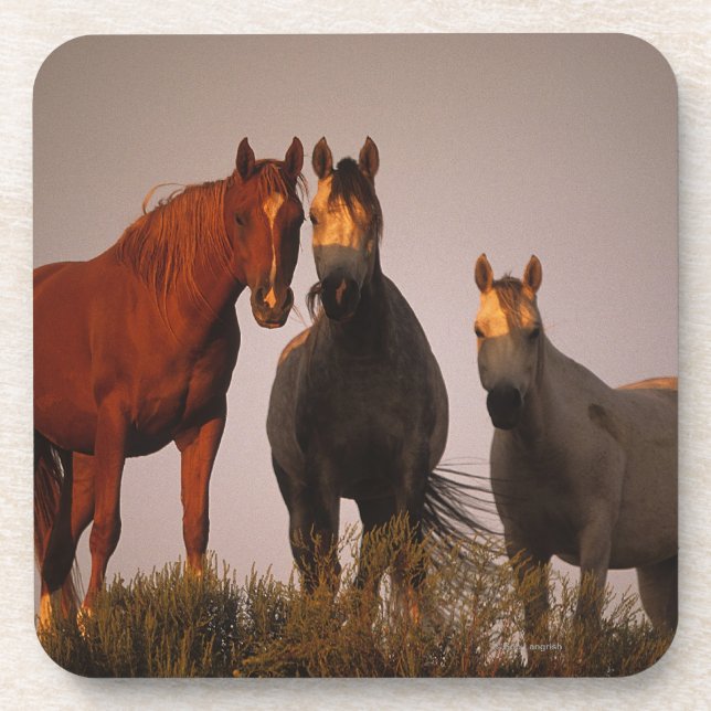 Dessous-de-verre Arabes au coucher du soleil (Devant)