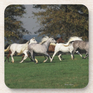 Dessous-de-verre Arabes courant dans le domaine