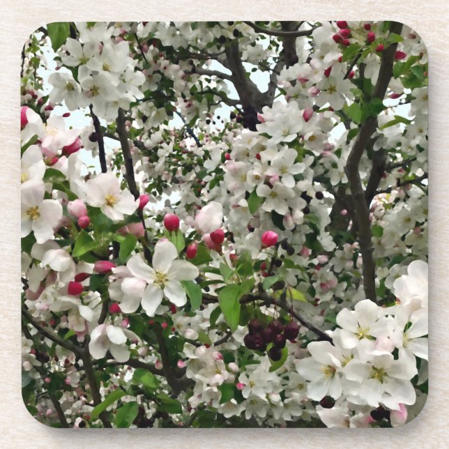 Dessous-de-verre Arbre Apple en fleurs (Devant)
