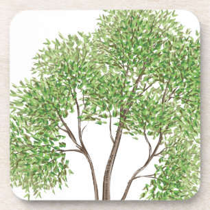 Dessous-de-verre Arbre de Cottonwood