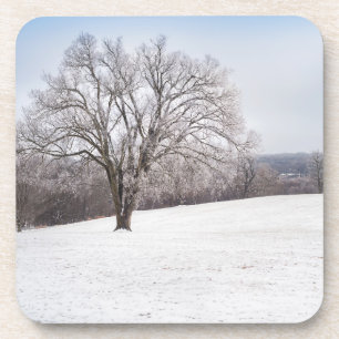 Dessous-de-verre Arbre d'hiver
