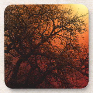 Dessous-de-verre Arbre d'hiver Silhouette
