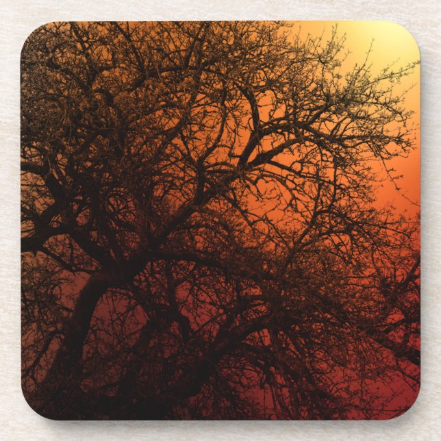 Dessous-de-verre Arbre d'hiver Silhouette (Devant)