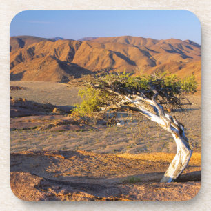 Dessous-de-verre Arbre noueux et terres désertiques, Richtersveld