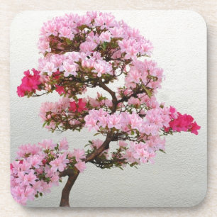 Dessous-de-verre Arbre rose bonsaï