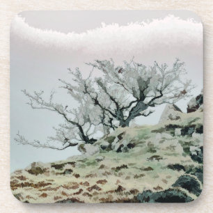 DESSOUS-DE-VERRE ARBRES