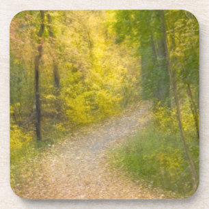 Dessous-de-verre Arbres aux couleurs d'automne et chemin recouvert