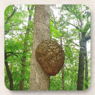 Dessous-de-verre Arbres avec la grande ruche incluse de guêpe