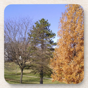 Dessous-de-verre Arbres d'automne