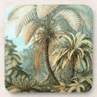 Dessous-de-verre Arbres de Haeckel