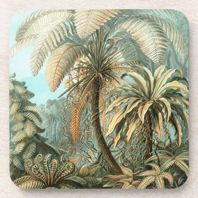 Dessous-de-verre Arbres de Haeckel (Devant)