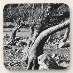 DESSOUS-DE-VERRE ARBRES NOIRS ET BLANCS