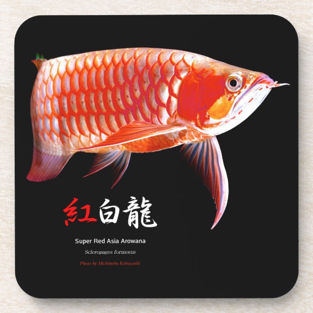 Dessous-de-verre Arowana d'Asie の 優 良 製 品 (Devant)