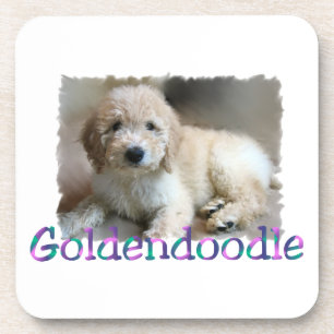 Dessous-de-verre Art de Goldendoodle