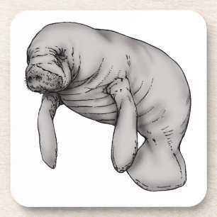 Dessous-de-verre art manatee