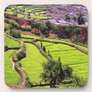 Dessous-de-verre Asie, Chine, Yunnan, Honghe.  Terrasses de riz pr