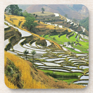 Dessous-de-verre Asie, Chine, Yunnan, Préfecture de Yuxi; Yuanjian