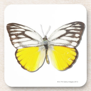 Dessous-de-verre Aspasia de Cepora