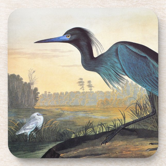 Dessous-de-verre Audubon : Héron de petit bleu (Devant)