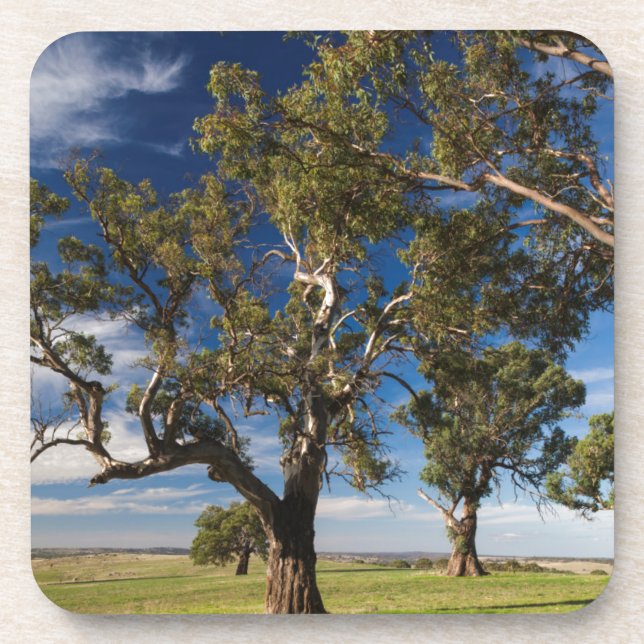 Dessous-de-verre Australie, Barossa Valley, Mount Pleasant (Devant)
