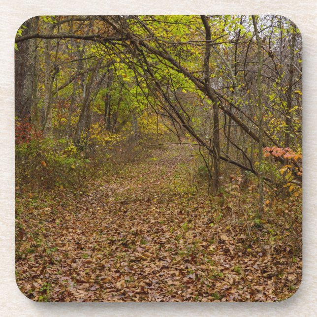 Dessous-de-verre Autoroute d'automne (Devant)
