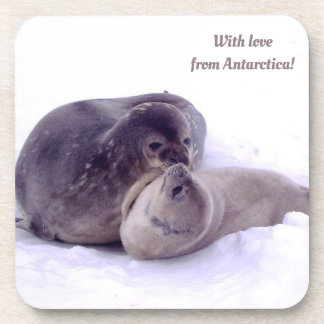 Dessous-de-verre Avec amour de l'Antarctique ! photo de phoques, de
