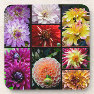 Dessous de verre avec de belles dahlias multicolor