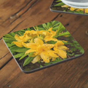 Dessous-de-verre Azalée Jaune Fleurit Floral Beveral Coaster