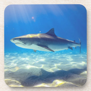 Dessous-de-verre Baignade de requins Eau bleu de l'océan