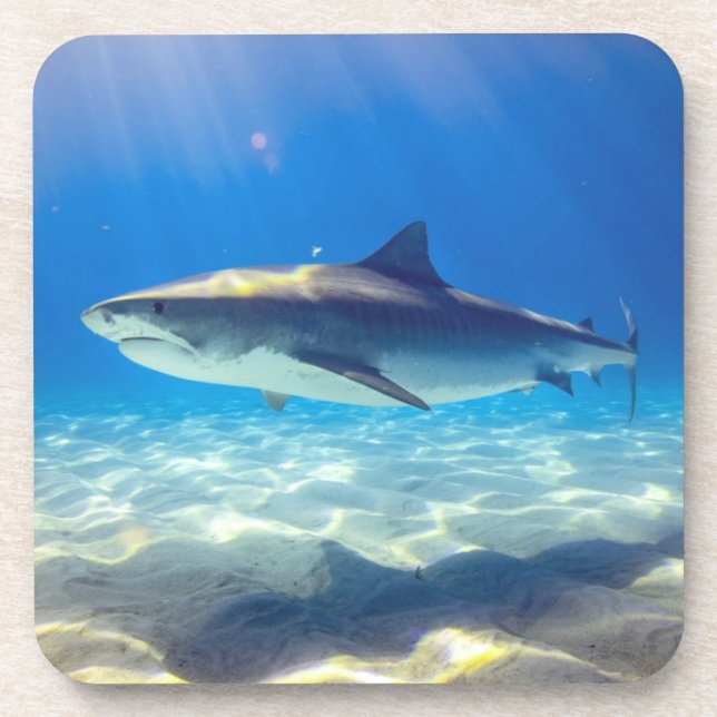 Dessous-de-verre Baignade de requins Eau bleu de l'océan (Devant)