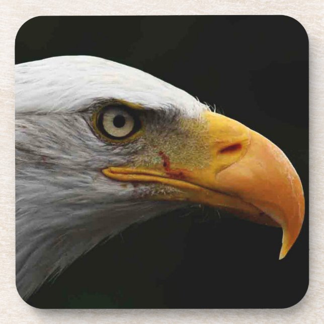 Dessous-de-verre Bald Eagle (Devant)