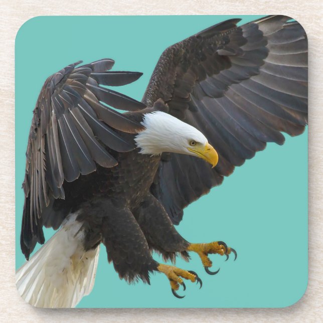Dessous-de-verre Bald eagle (Devant)