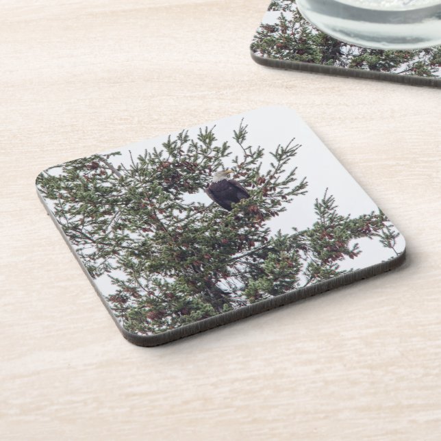 Dessous-de-verre Bald Eagle P2825 (Côté gauche)
