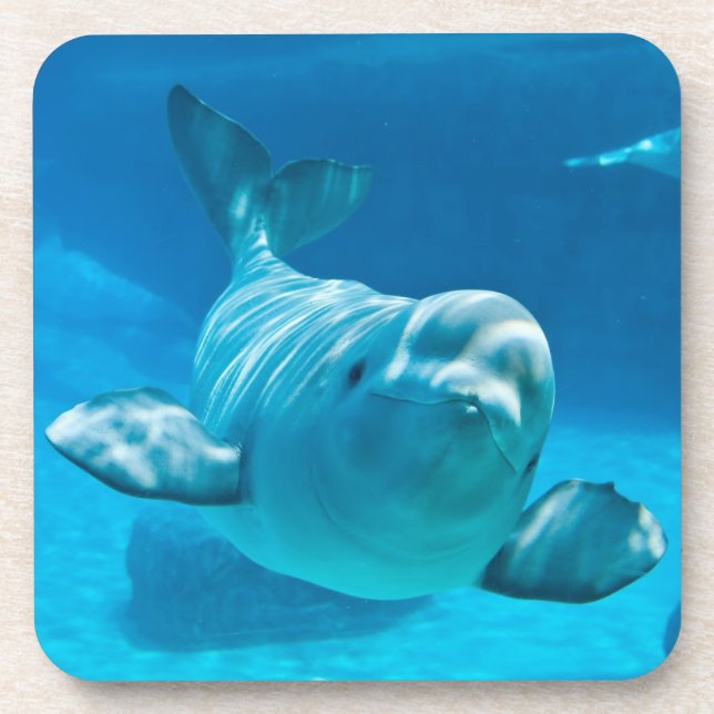 Dessous-de-verre Baleine de beluga (Devant)