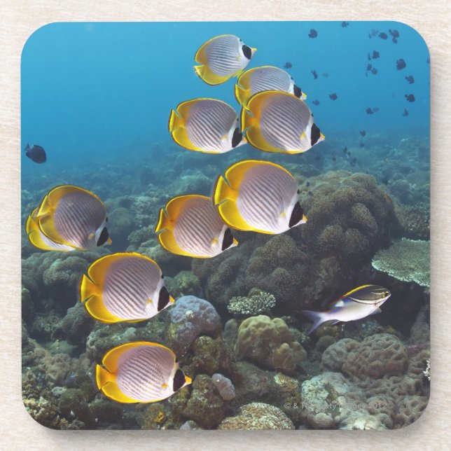 Dessous-de-verre Bali, Indonésie (Devant)