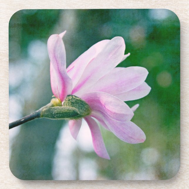 Dessous-de-verre Ballerina Magnolia (Devant)
