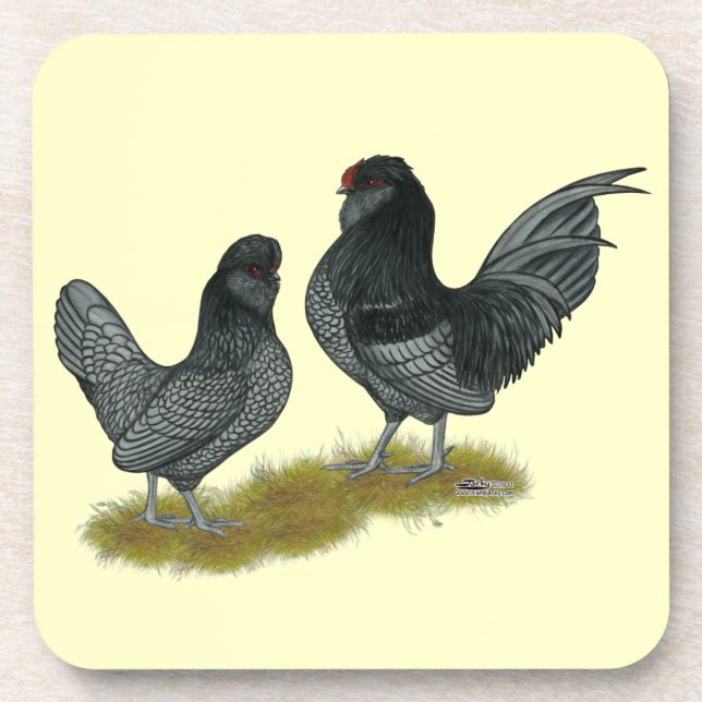 Dessous-de-verre Bantams de Watermaal belges (Devant)