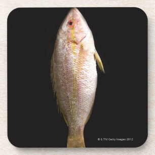 Dessous-de-verre Bar de mer entier