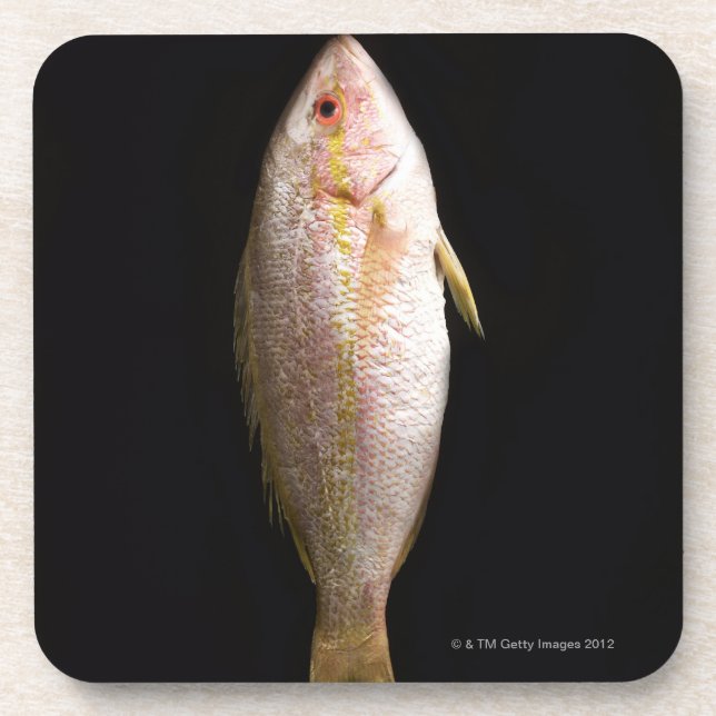 Dessous-de-verre Bar de mer entier (Devant)