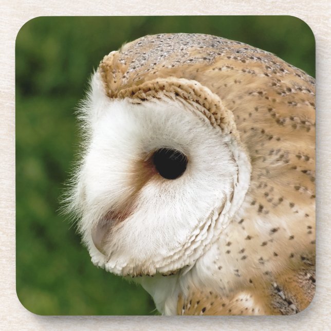 DESSOUS-DE-VERRE BARN OWL (Devant)