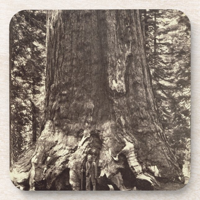 Dessous-de-verre Base du géant grisâtre, 'du livre de Yosemite (Devant)