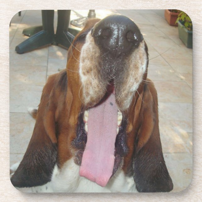 Dessous-de-verre basset hound bâillant (Devant)