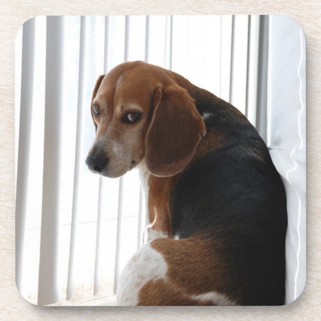 Dessous-de-verre beagle attitude (Devant)