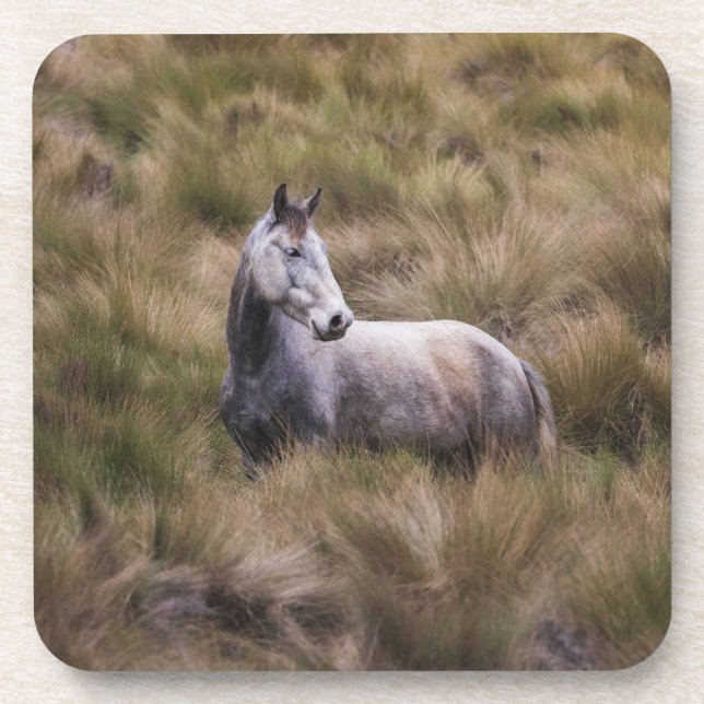 Dessous-de-verre Beau Cheval gris coloré (Devant)